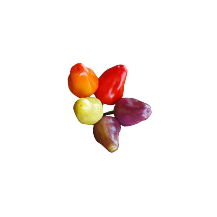 Chinese 5-color