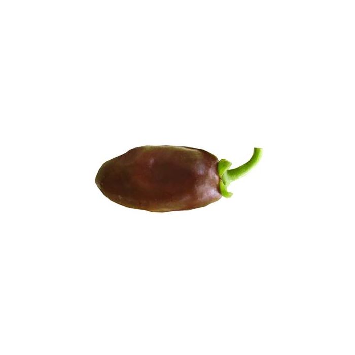 Brown Egg