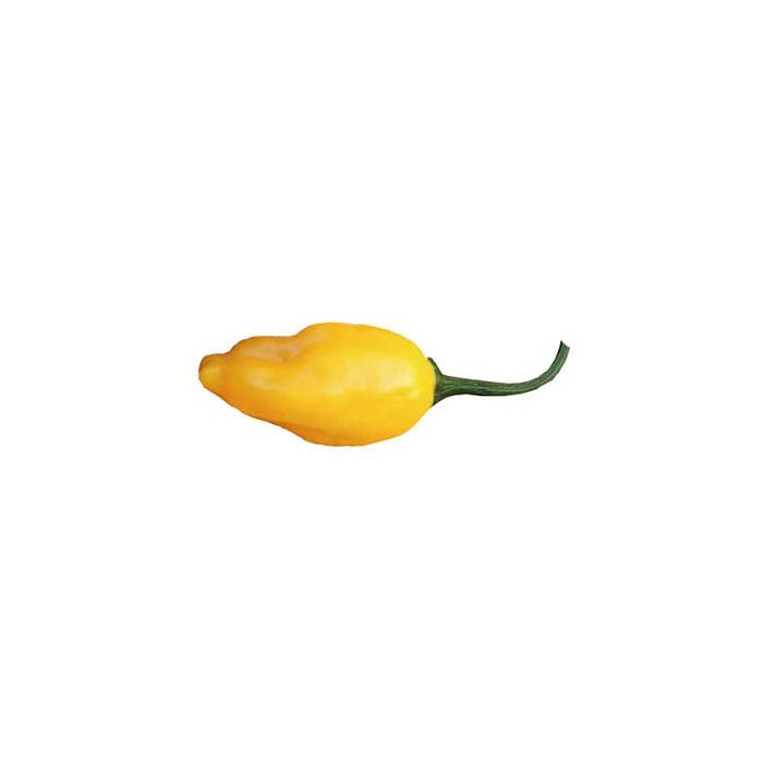 El Oro de Ecuador