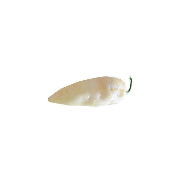 Fatalii White