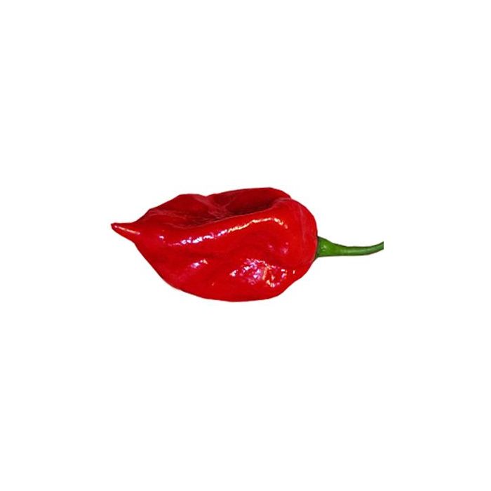 Fatalii Red