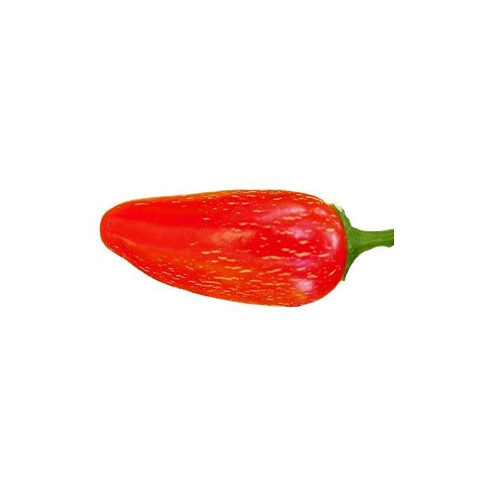 Jalapeno TAM