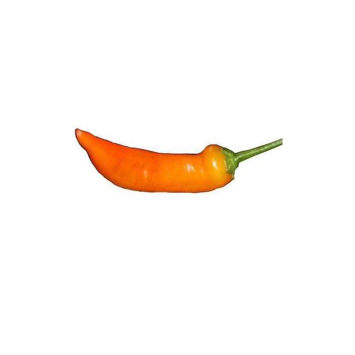 Aji Ahuachapáu