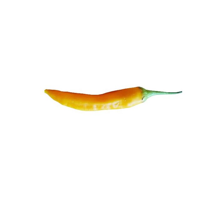 Aji Golden