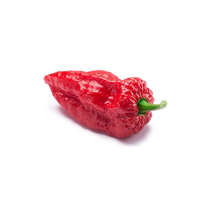 Bhut Jolokia Improved Strain II