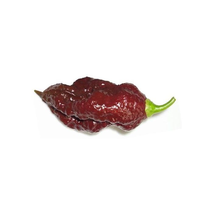Bhut Jolokia Chocolate