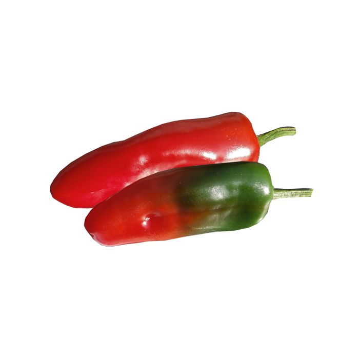 Biker Bill´s Jalapeno