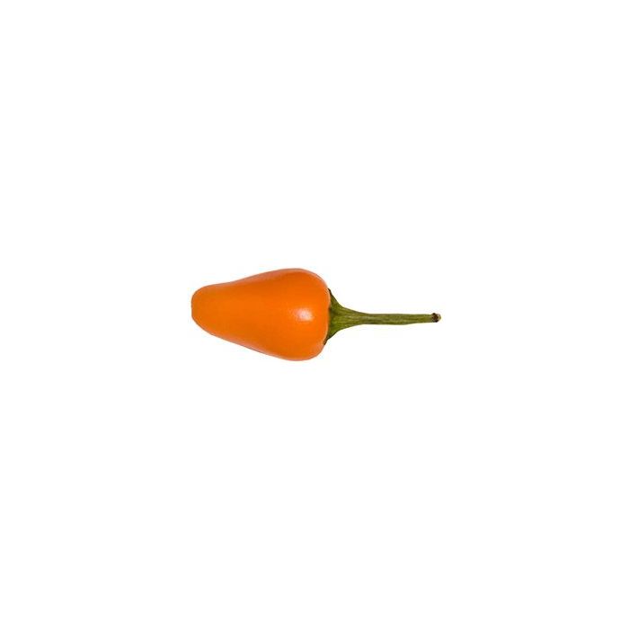 Capela Orange