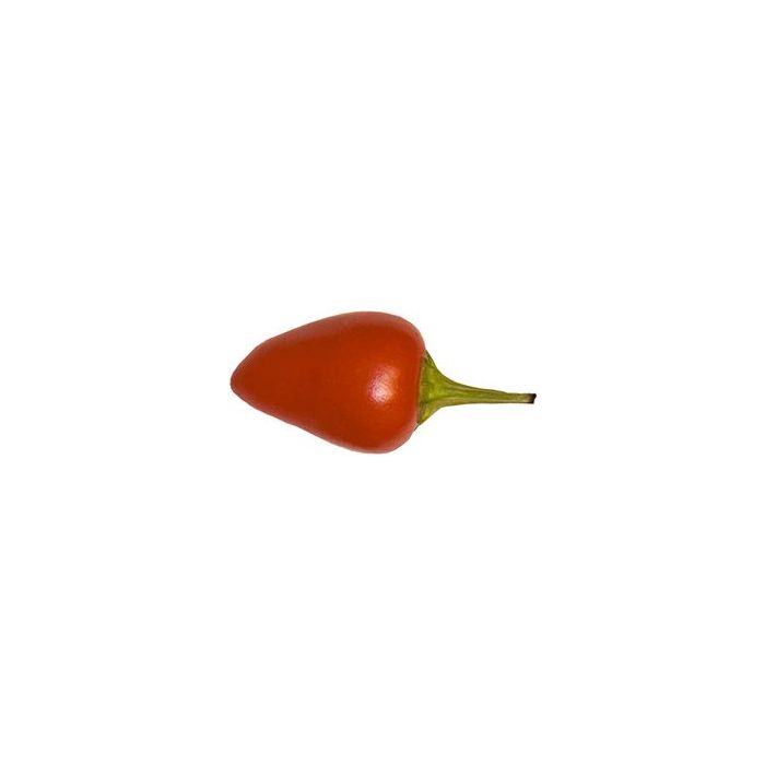 Capela Red