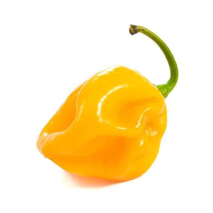 Caribbean Yellow
