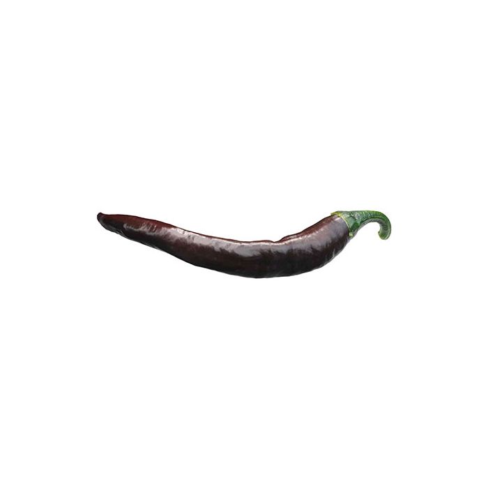 Chili Negro