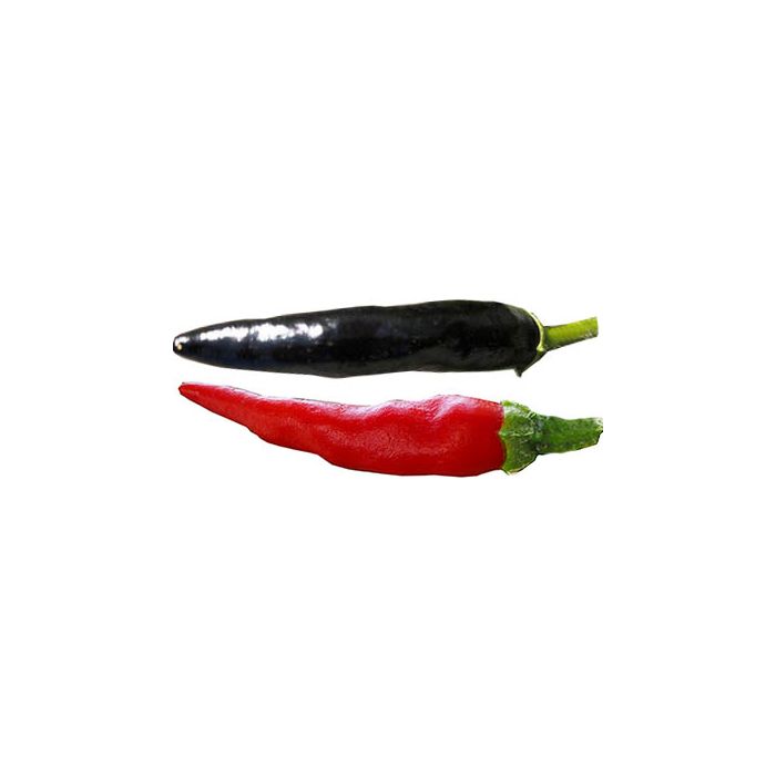 Chinese Black