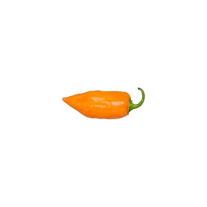 Craig´s Double Hot Orange Habanero