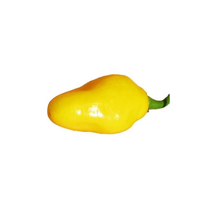 Cumari ou Passarinho