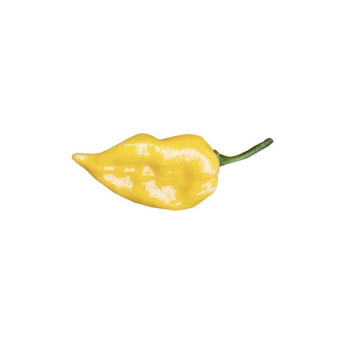 Dong Xuan Market Yellow