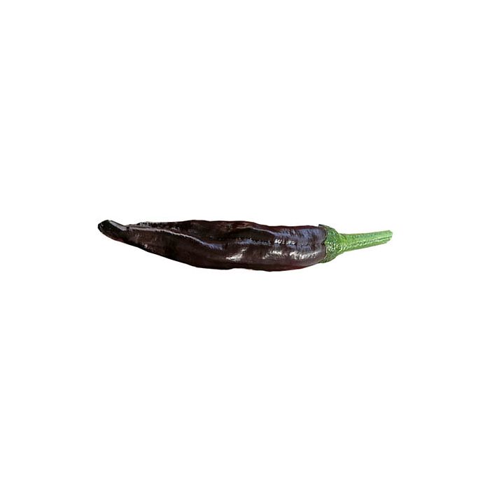 Ecuadorian Brown