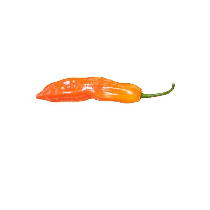 Aji Escabeche