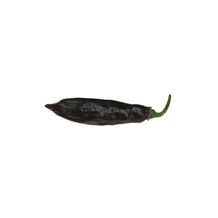 Georgia Black