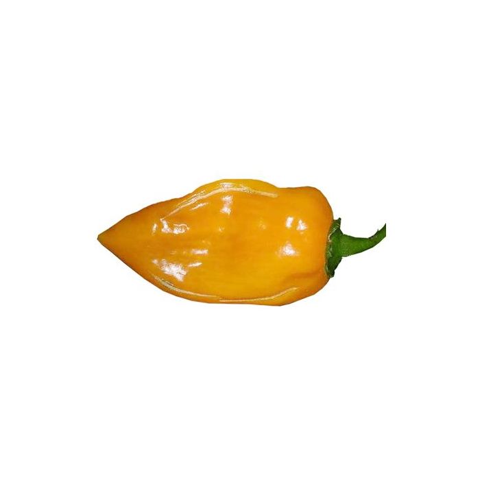 Habanero Manzano