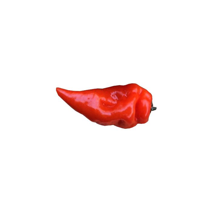 Habanada Red