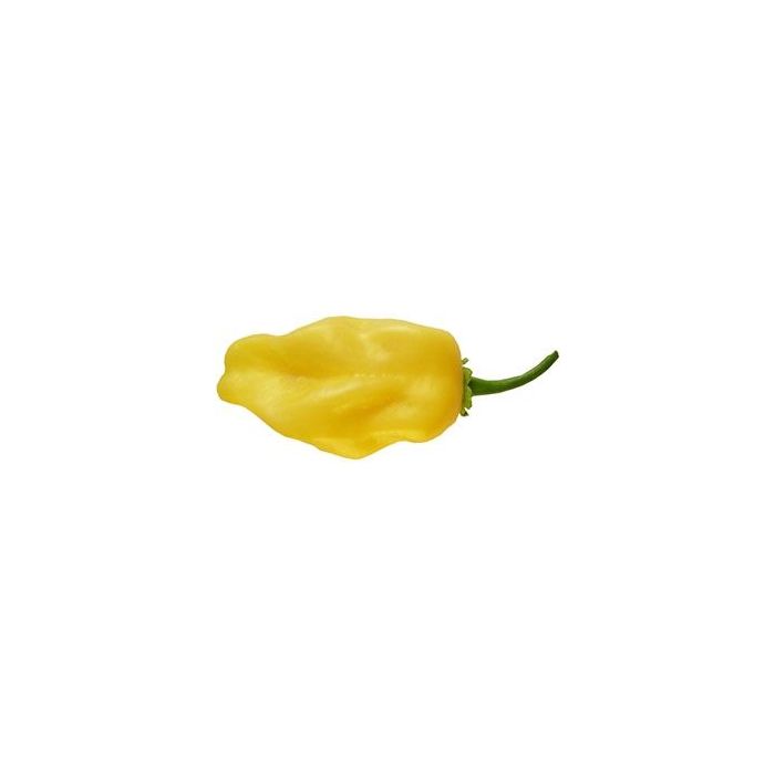 Habanero Carolina Yellow