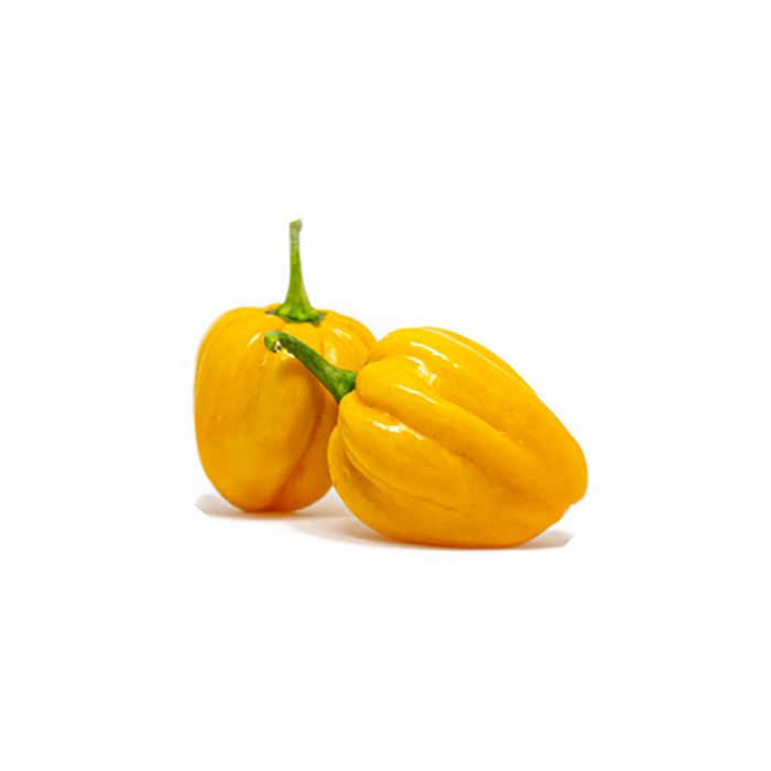 West Indian Yellow Habanero