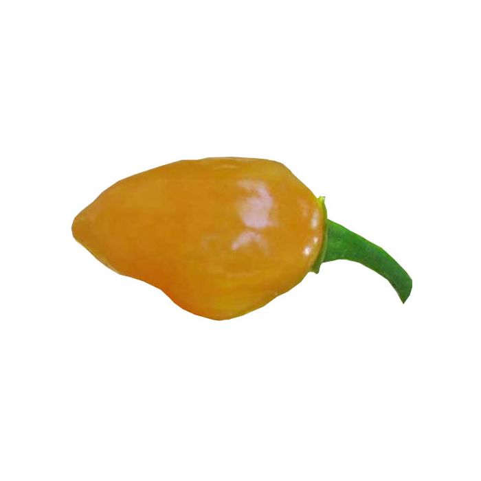 Habanero Tonga Orange