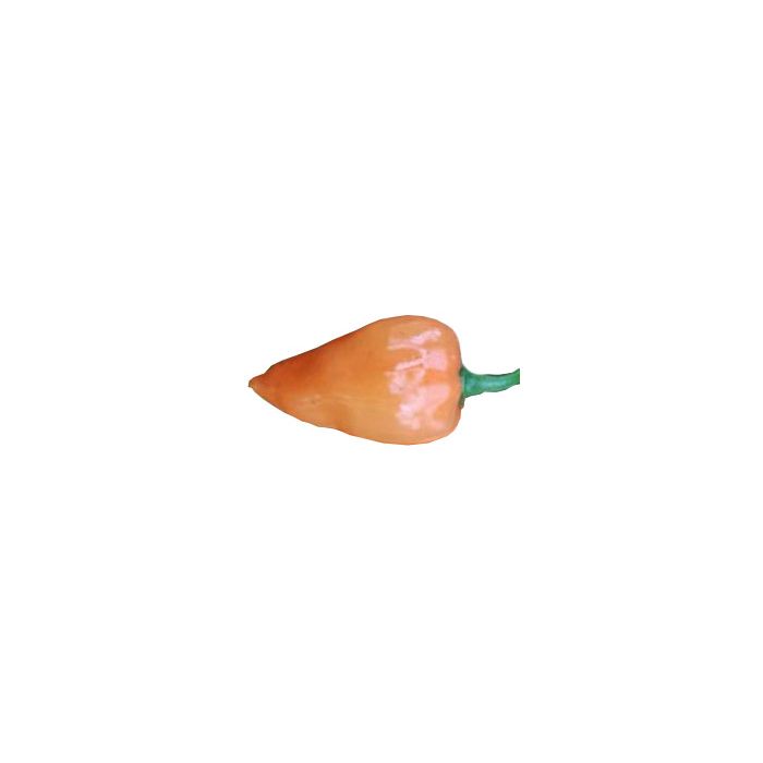 Hexennase Peach