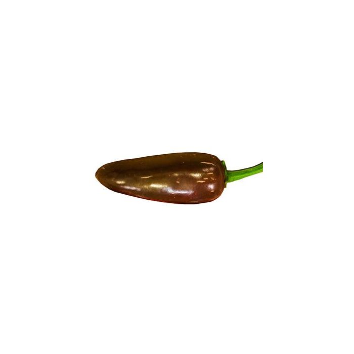 Jalapeno Brown