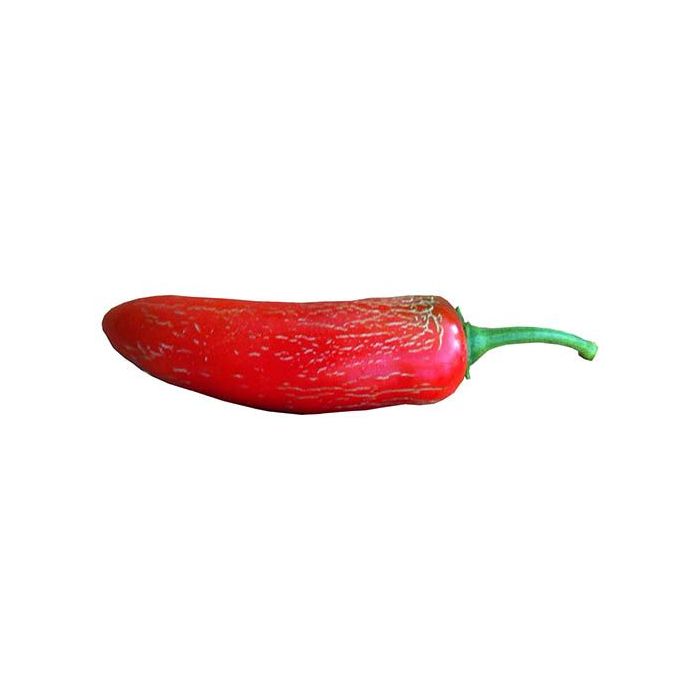 Jalapeno Early