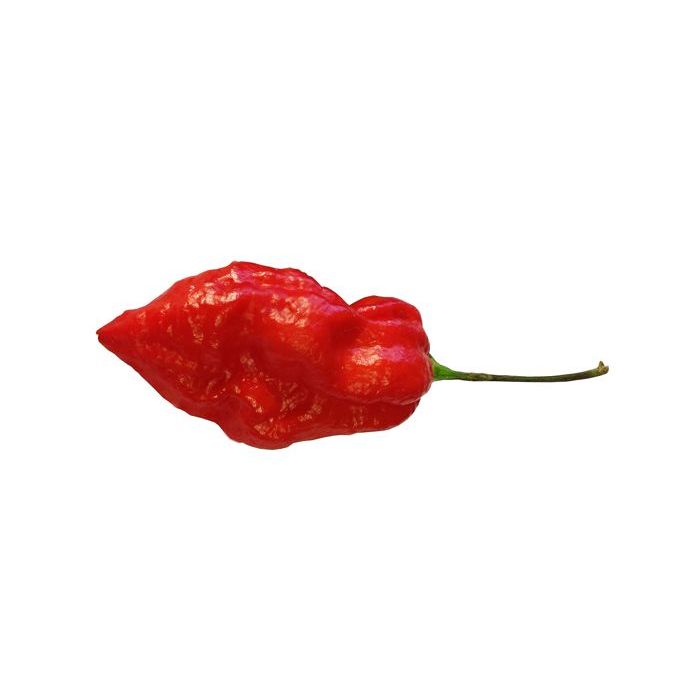 Naga Morich