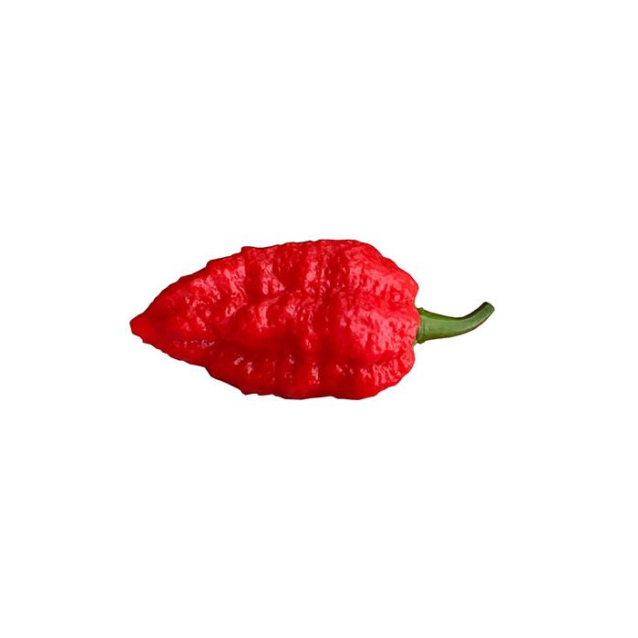 Nagabrain Red