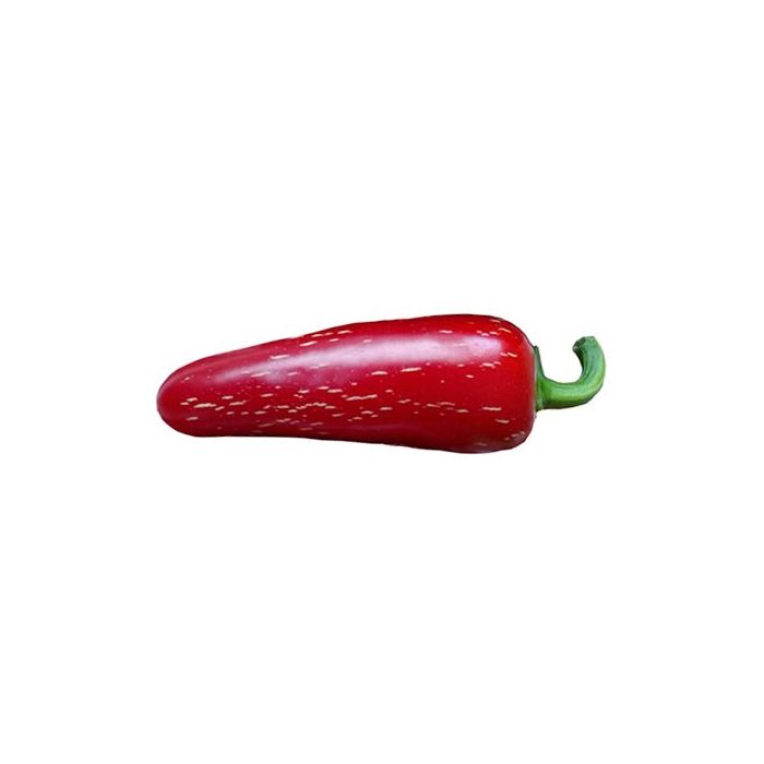 Jalapeno Numex Primavera
