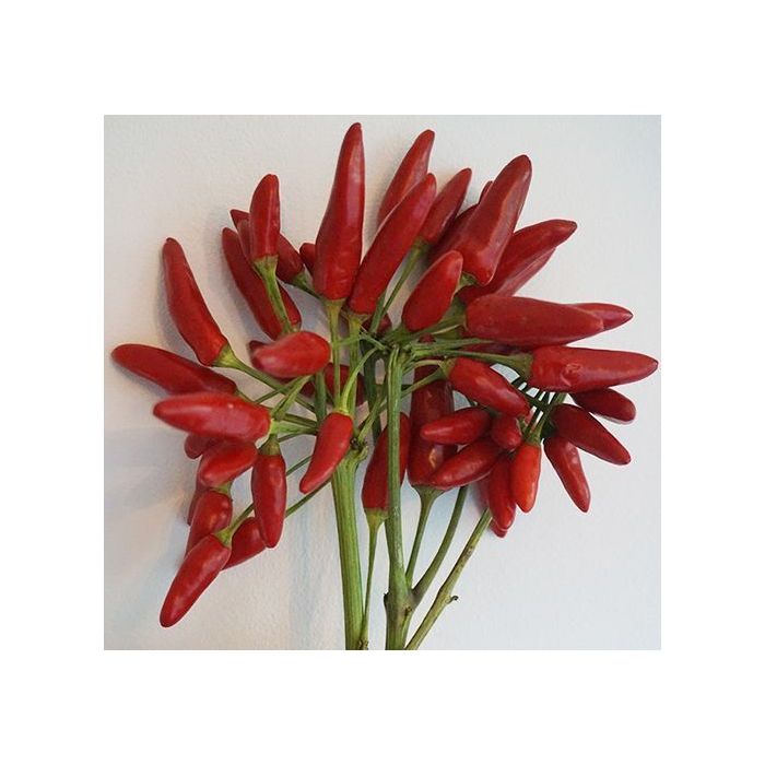 Peperoncino Calabrese