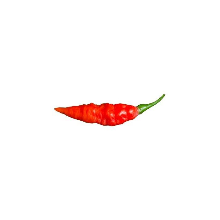 Peruvian Serlano