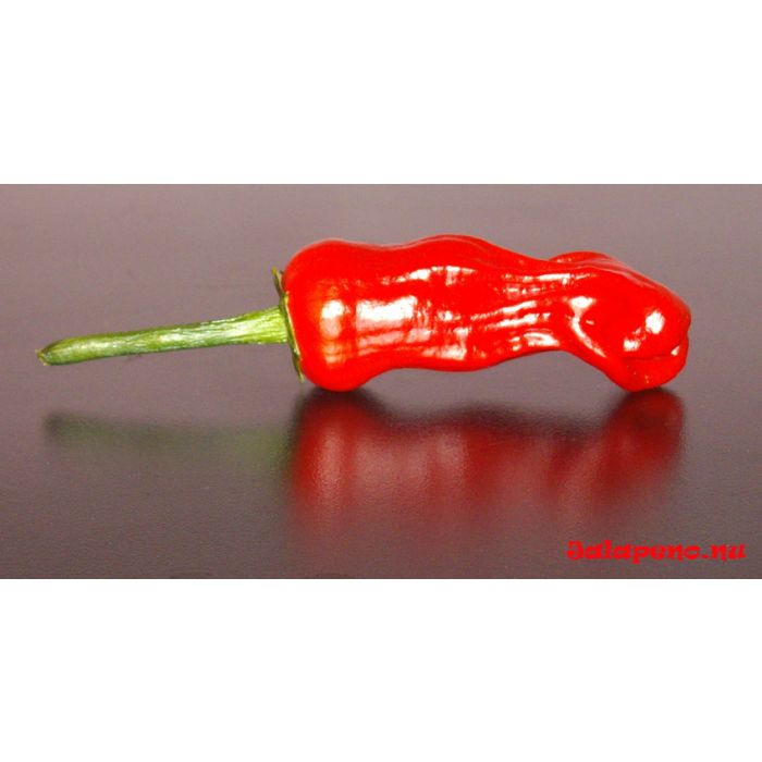 Peter Pepper Red