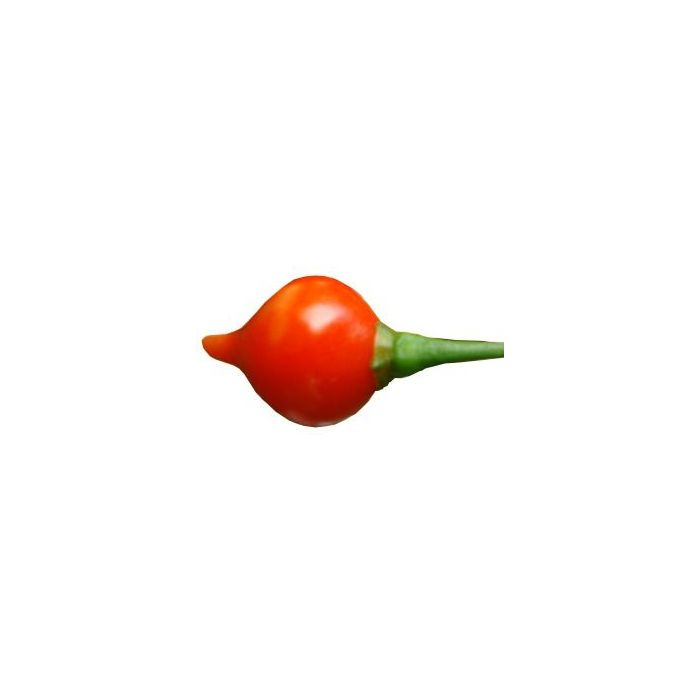 Biquinho Vermelho