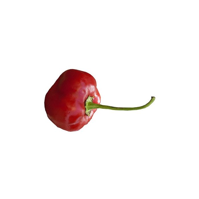 Piquante