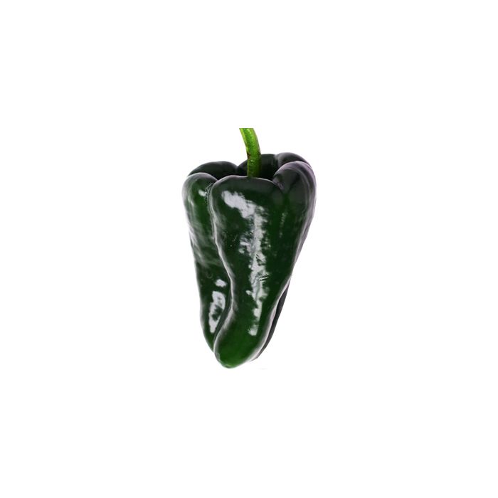 Poblano