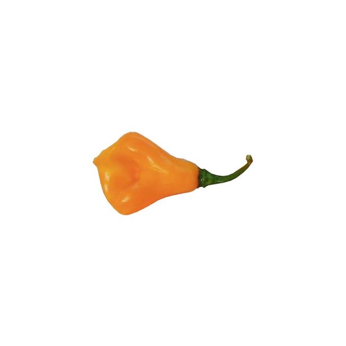 Scotch Bonnet Jamaican Long