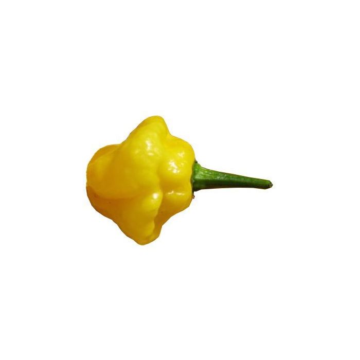 Scotch Bonnet Yellow