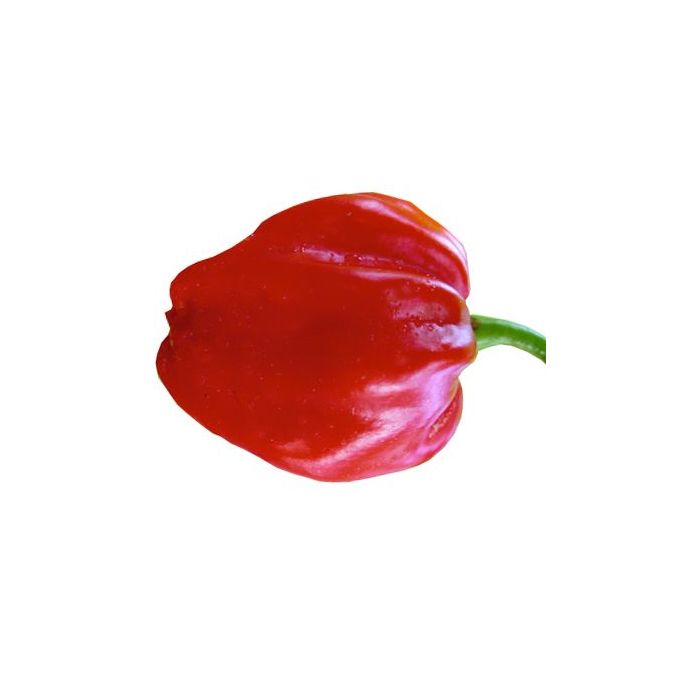 Habanero Tobago Seasoning