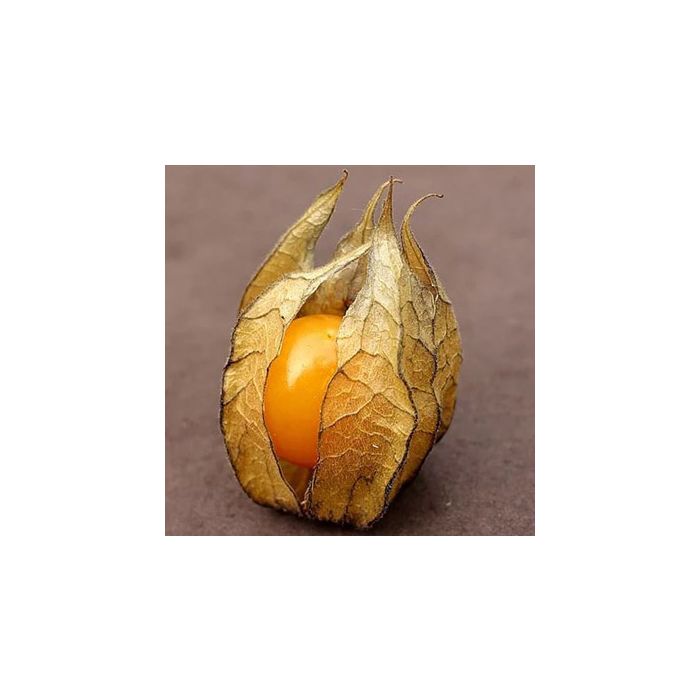 Tomatillo Pineapple
