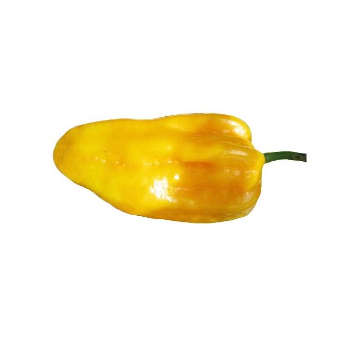 Aji Umba Yellow