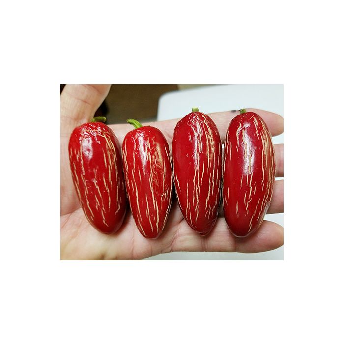 Jalapeno Zapotec