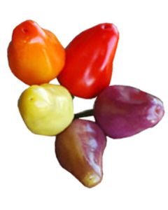 Chinese 5-color
