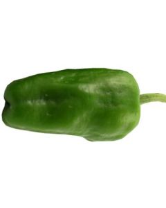 Padron - Pimientos de Padron