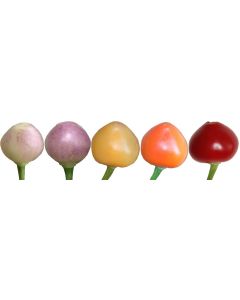 Pimenta Barra Do Ribeiro