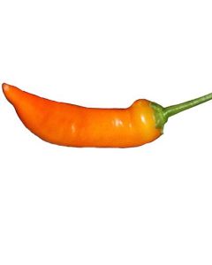 Aji Ahuachapáu