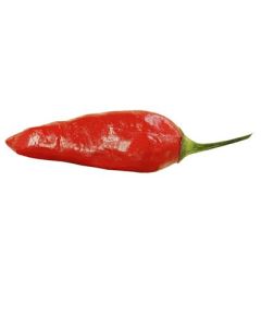 Aji Criolla